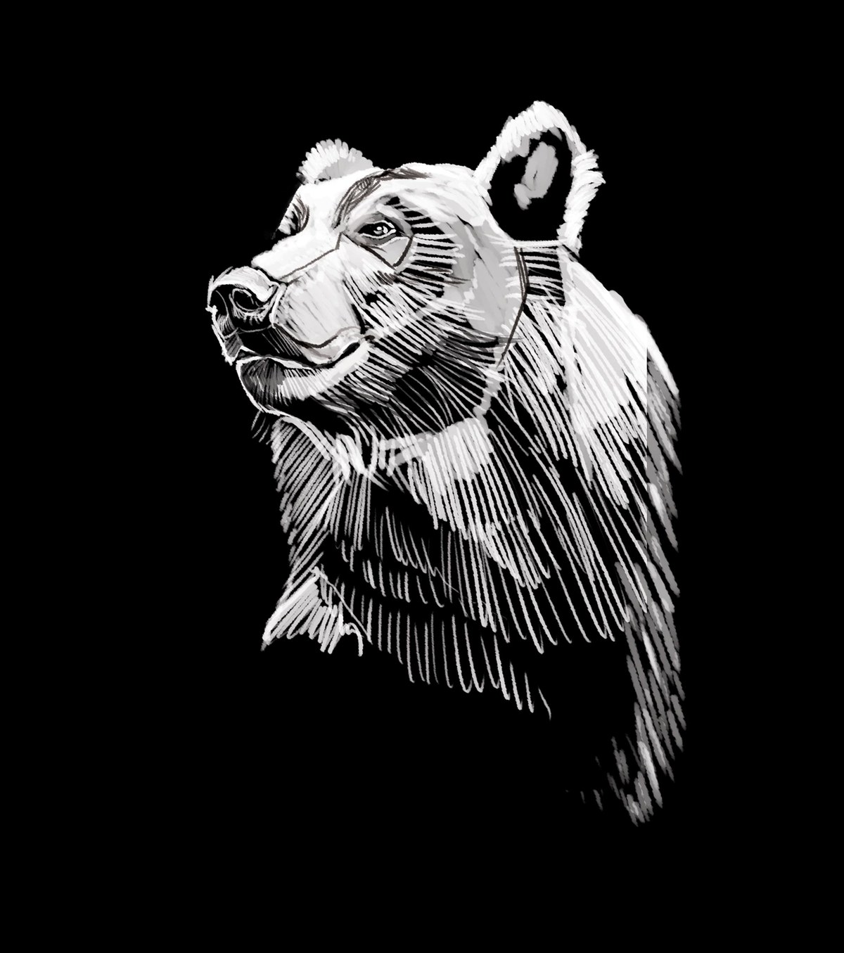 First pass — the bear in tonal brushwork