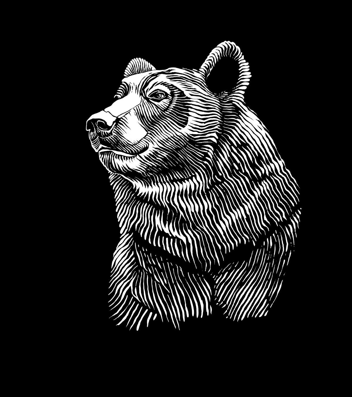 Final — the engraved bear used on the packaging