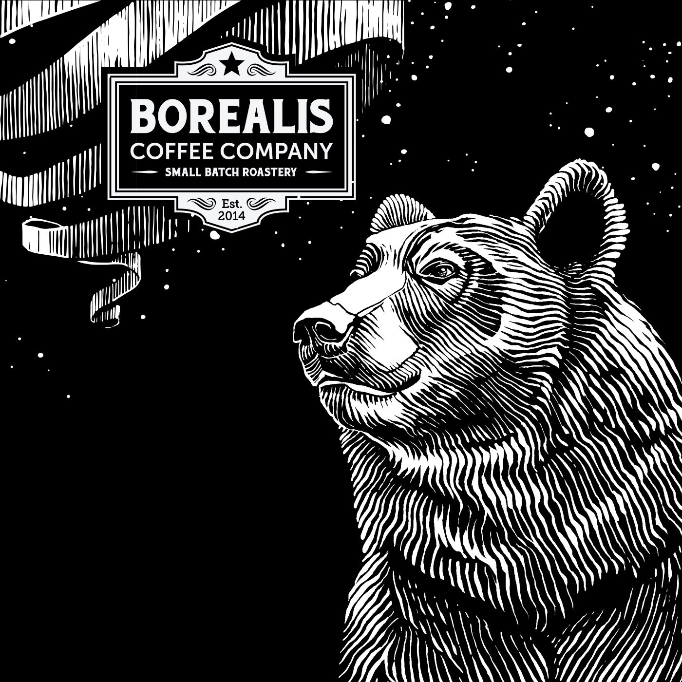 Bear drawn in engraved line on black — Borealis coffee bag