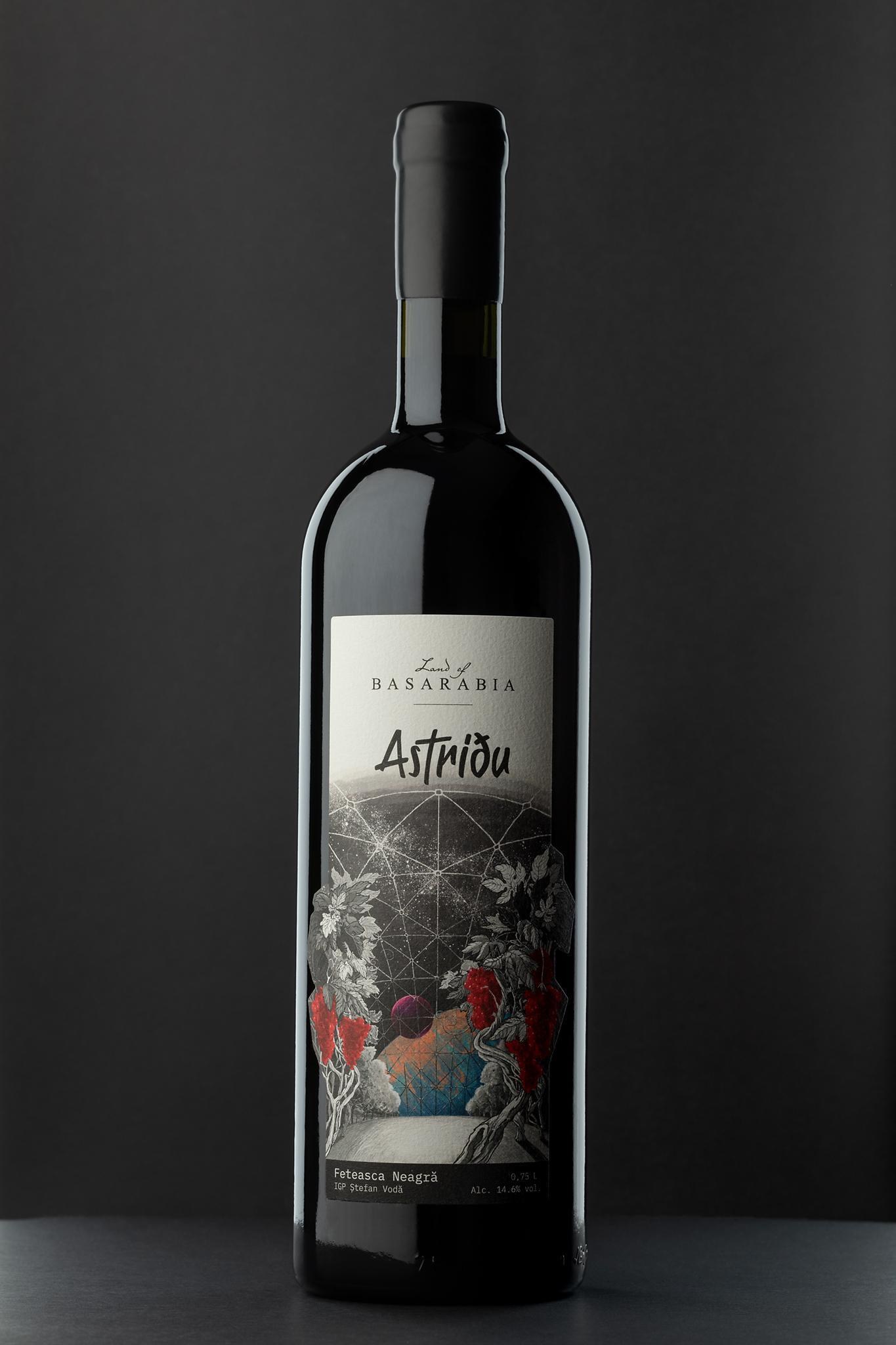 Astridu — a closer look at the dome illustration