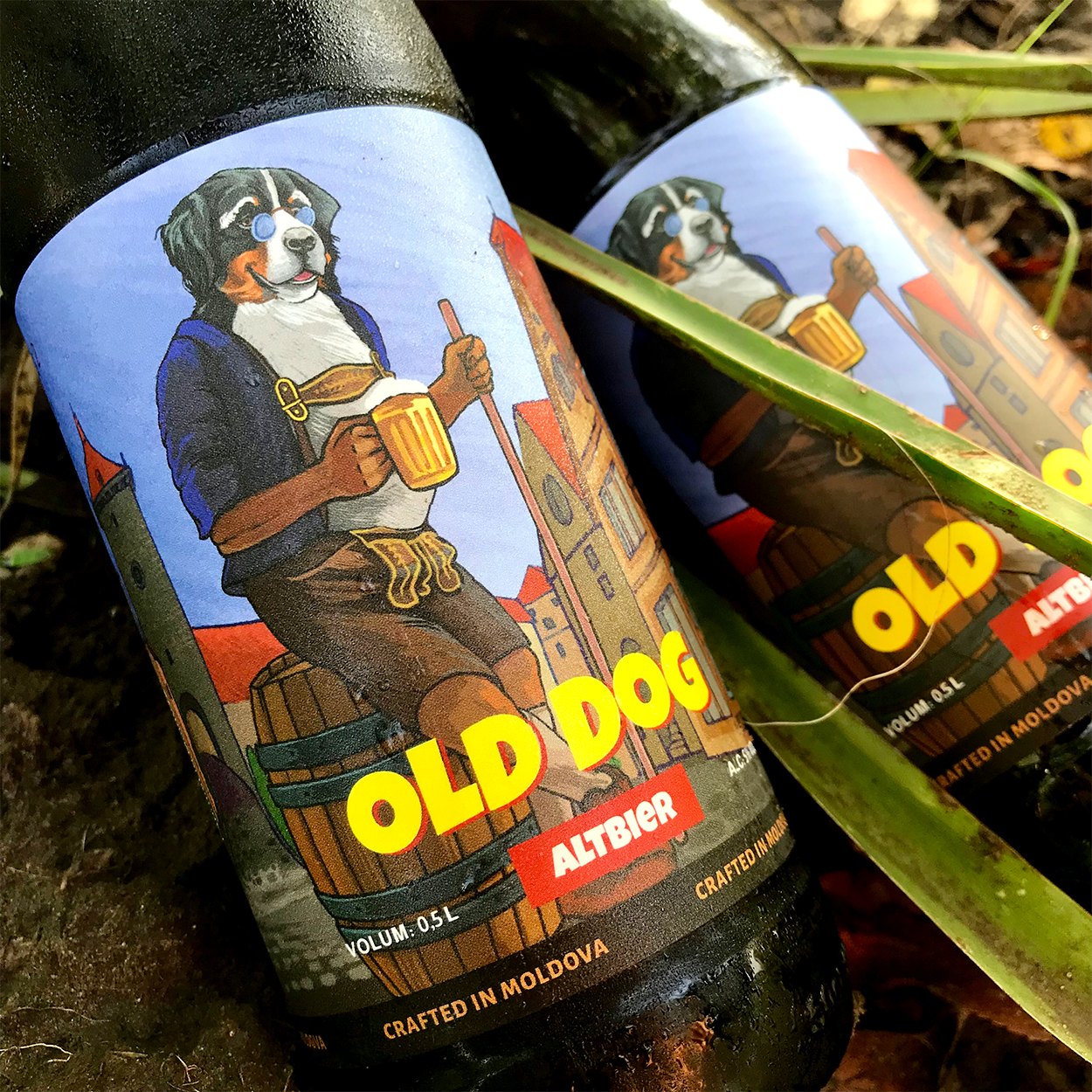 The Old Dog label in close-up on two bottles outdoors