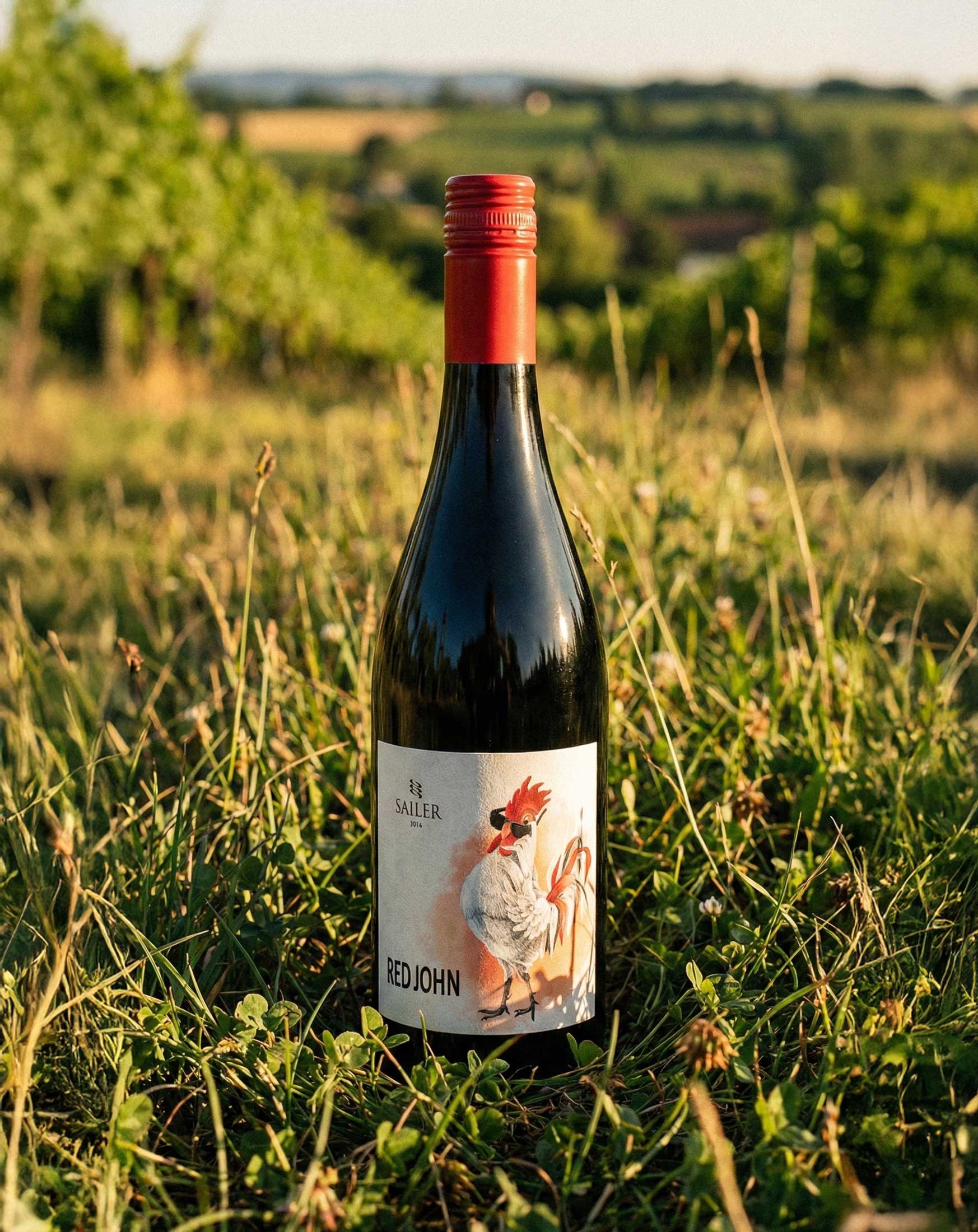 Red John standing alone in the vineyard, rows of vines behind it